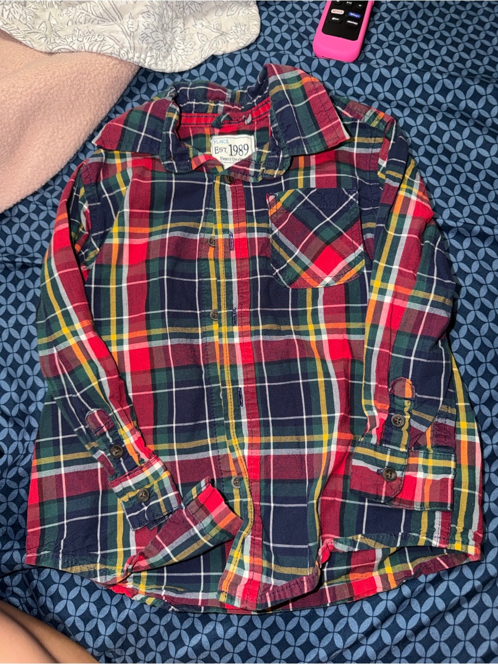 The Children's Place Red & Navy Plaid Button-Down Shirt